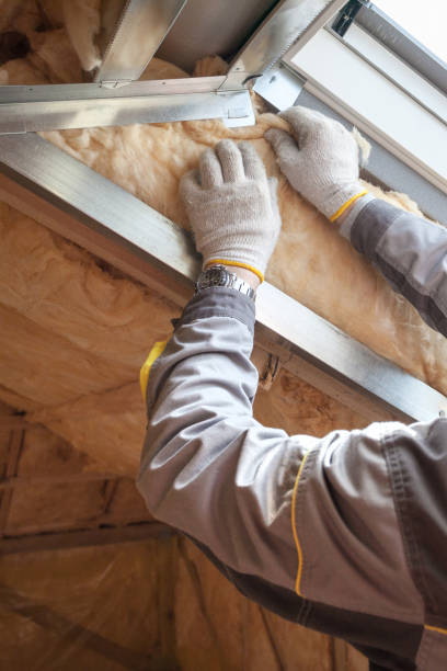 Best Types of Insulation in Forrest, IL