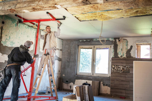 Best Insulation Maintenance and Repair in Forrest, IL